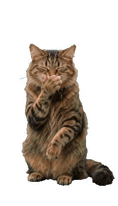 Deal cat